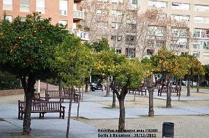 Calella Reveillon 126